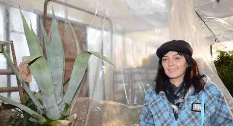 Столетник зимува всяка година в хотел &bdquo;Паркстрой&ldquo;