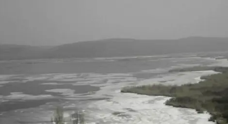 Сложиха под карантина езерото Сребърна