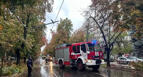 Екипи на общинските предприятия и Пожарната служба работят по сигнали за паднали дървета и аварии