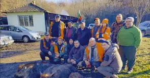 Ловното дружество в Бяла: Дивите свине се завръщат, тревожно расте популацията на дивите котки