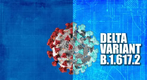 Японски учени: Щамът Делта на COVID-19 може да се самоунищожава