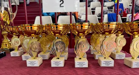 Над 170 състезатели по карате киокушин-кан се борят за националната купа "Пристис" в зала "Дунав" в Русе Над 170 състезатели по карате киокушин-кан се борят за националната купа "Пристис" в зала "Дунав" в Русе