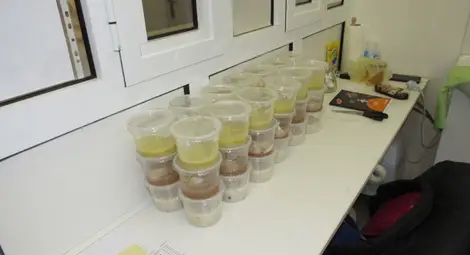 „Виртуална кухня“ дава възможност за онлайн закупуване на ваучери за Детска млечна кухня „Виртуална кухня“ дава възможност за онлайн закупуване на ваучери за Детска млечна кухня