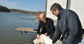 4500 толстолоба пуснаха в езерото Липник