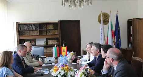 Испански фирми с интерес към строежа на бъдещия мост между Русе и Гюргево