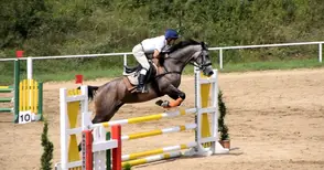 Стефан Игнатов втори на държавно по конен спорт