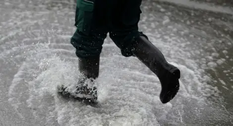 Мародерство: Галошите в Мизия струват 20 лв., кебапчетата - 4,50 лв.