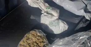 Трима задържани с над 400 грама марихуана в полицейска операция срещу наркотиците