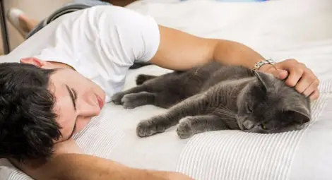 Разкриха защо все повече мъже осиновяват котки