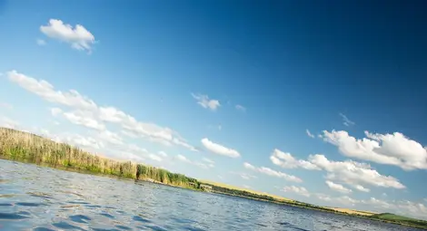 Екоинспекцията търси лого и рекламен  слоган за резервата "Сребърна"