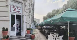 Наемателят на оборотното „Арт кафе“ в Доходното оспорва новите условията за даване под наем