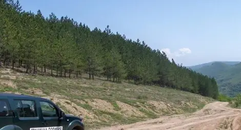 34 нелегални имигранти са задържани на територията на РДГП-Елхово