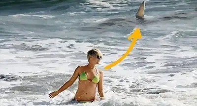Германска актриса с ужас видя тигрова акула до себе си на плаж във Флорида