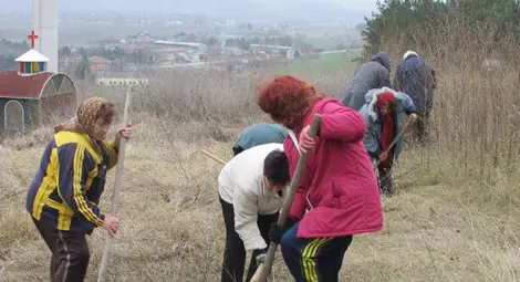 Залесяват Бог баир с борчета, липи и млади тополки
