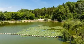 Венцислав Маринов: Идеята за зоокът в Лесопарка е моя, но ако друг иска концесията - ще помагам