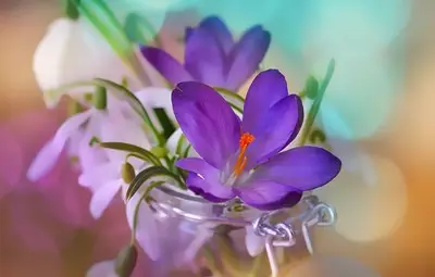 Днес ще е сравнително топло и слънчево