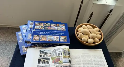 Снимка: Пресцентър Снимка: Пресцентър