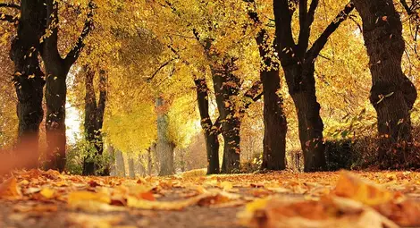 Доц. д-р Маргарита Бакрачева: Значително се повишават нивата на стрес и напрежение след края на летния сезон