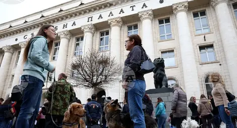 Снимка: БТА