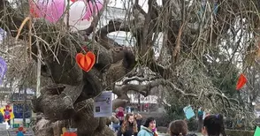 Обявяват конкурс за интересни  и артистични картички-валентинки