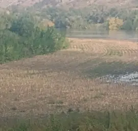 Река Янтра прелива при Долна Студена, няма опасност за населението