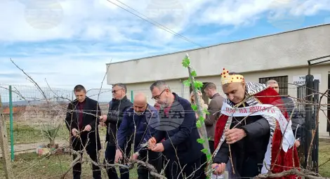 Снимка: БТА