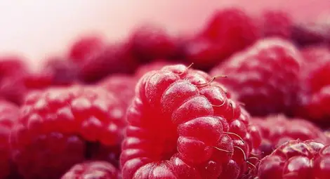 Заразени с вирус български малини хванати във Франция