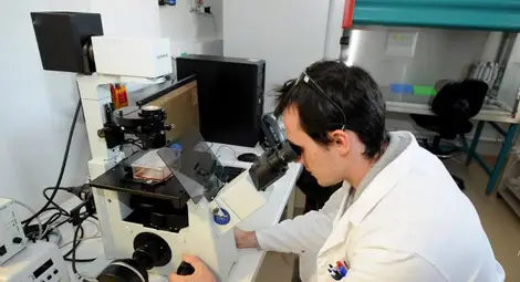 Русия откри метод за произвеждане на ядрено гориво Русия откри метод за произвеждане на ядрено гориво