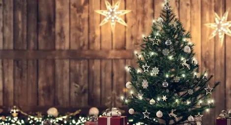 Детска академия &bdquo;Хермес&ldquo; обяви фотоконкурс за най-красива коледна елха