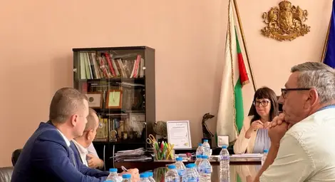 Държавата поема ангажимент за навременно ларвицидно третиране на комарите в Русе и крайдунавските общини през 2025 г.