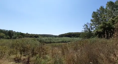 От някогашния язовир е останала една празна чаша, обрасла с храсти и върби. Снимка: Архив &bdquo;Утро&ldquo;