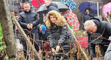 Снимка: БТА Снимка: БТА