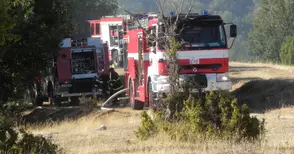 Специални лампи гръмнаха като газова бутилка в пилчарник