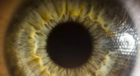 Днес идва възмездието