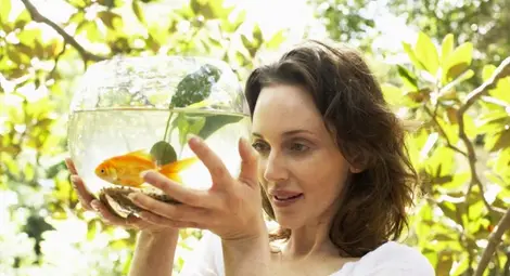 Учени: Аквариумите са полезни за здравето