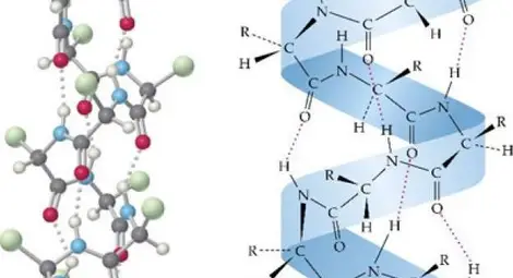 Революционен продукт, съдържащ кератин ни връща младостта