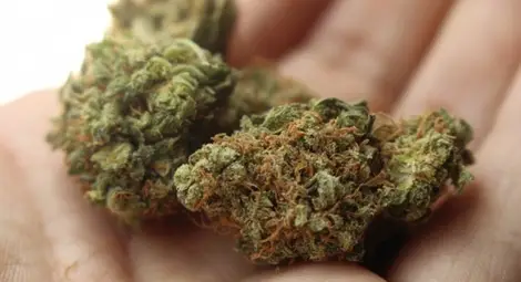 8 нарколюбители посочили арестуван в акция дилър