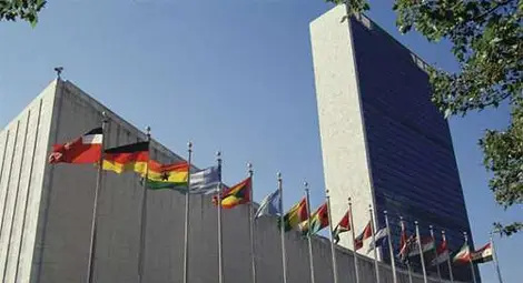 Пет нови държави влизат в СС на ООН