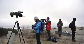 За 40-та поредна година броят птиците по Дунав