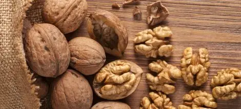 Шепа орехи предпазват от рак на дебелото черво