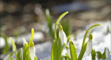 Синоптик от БАН даде необичайно топла прогноза за февруарска пролет