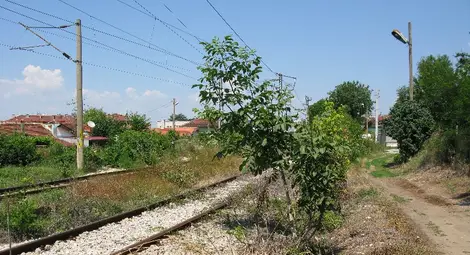 За изграждането на булевард &bdquo;Родина&ldquo; ще бъдат премахнати релсите, като сега се проучват възможностите за това.                                                                                     Снимка: Красимир СТОЯНОВ