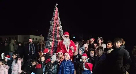 Елхата в Караманово  засия с коледен блясък