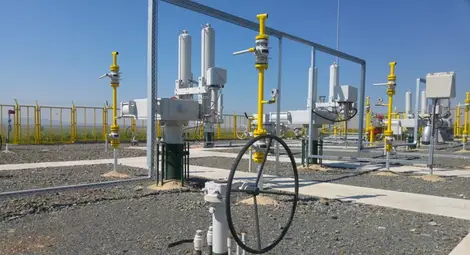 Петкова: Турски поток ще мине през България