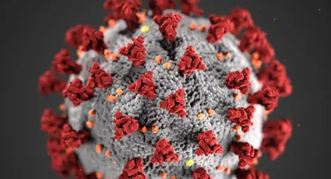 Заради Ковид-19 военноморското  честване ще е без концерт и шествие