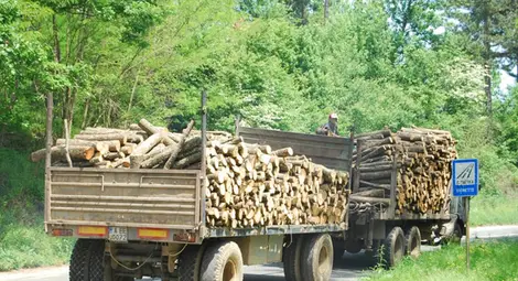 Складове за дървесина спират  работа заради новите изисквания