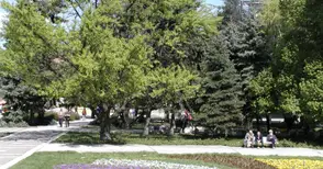 Казусът „Паркстрой“ отново взривява общинския съвет