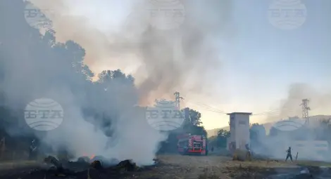 Снимка: БТА