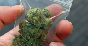 Апартамент в „Чародейка“ превърнат в магазин за дрога