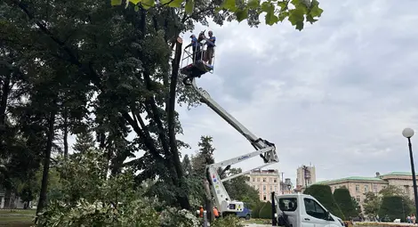 &bdquo;Паркстрой&ldquo; извършва резитба на опасно дърво пред Доходното здание